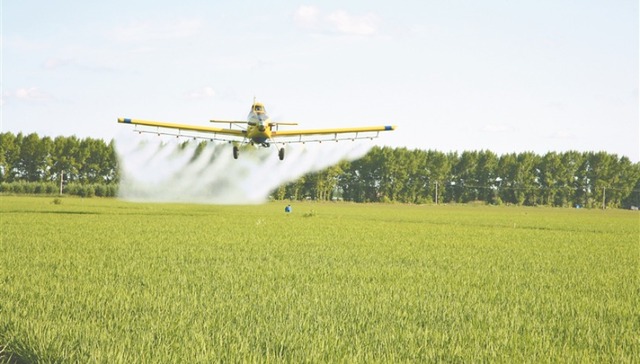 从农业“硅谷”与“油城”蝶变 看黑龙江区域协调发展新图景