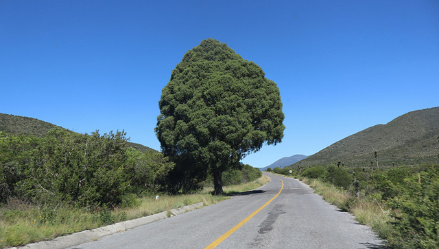 河北省廊坊市大力推进农村公路提升工程