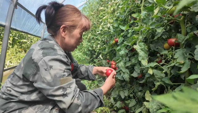 逊克县一村一“青”添动能 多业兴旺促振兴