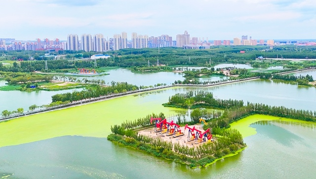 大庆油田：绿色蝶变的高质量发展之路