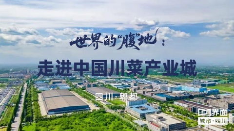 世界的“腹地”：走进中国川菜产业城