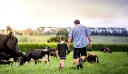 超160亿，恒天然官宣将消费品业务卖给全球最大乳企