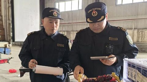 優(yōu)化營商環(huán)境 牡丹江海關(guān)助力地產(chǎn)水果出口量質(zhì)雙升