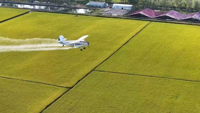 全力推进“一喷多促” 防虫提产让沃野焕生机