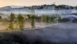 千年技艺搭建东西方文化桥梁，雅安非遗即将亮相巴黎设计周