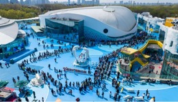 大連圣亞上半年盈利增速趨緩，旗下哈爾濱極地公園憑IP創(chuàng)新逆勢(shì)增長