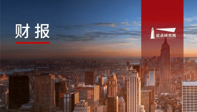 2025上半年酒店集团财务分析报告