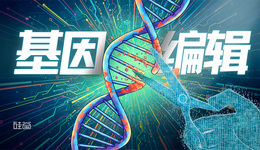 基因編輯的過去與未來：機會、風(fēng)險與AI進化之路。