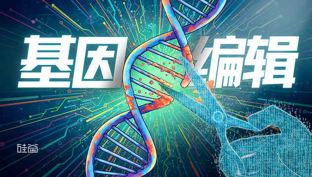 基因编辑的过去与未来：机会、风险与AI进化之路。