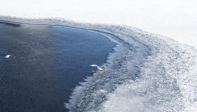 免签后的俄罗斯，能否成为东北老铁的“后花园”？