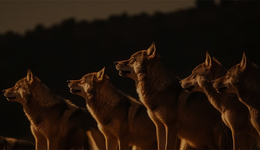 半年大賺126億：快遞六巨頭，到了座次重排的時(shí)候