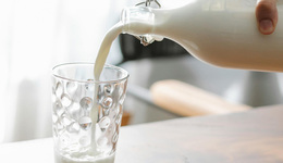 菩施乳業(yè) “鮮享到家” 發(fā)布會(huì)圓滿成功