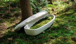 殡葬行业出海观察：冷门又暴利，生意可持续吗？