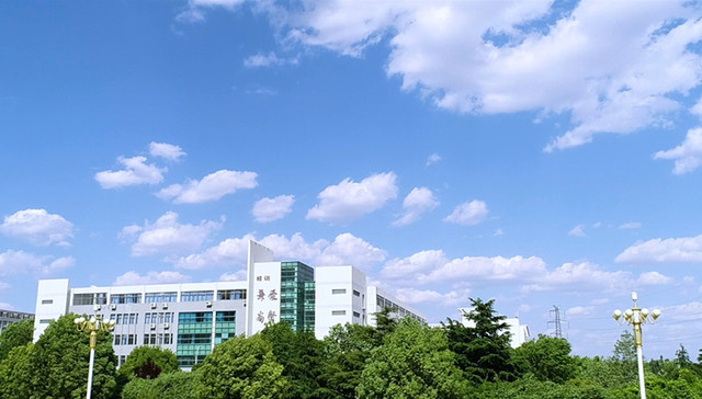 从筑基到兴区：“学在市中”再发力，领航县域教育新高度