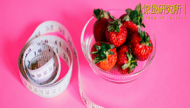 当年轻人从“贴秋膘”到“轻养生”