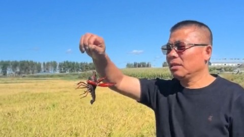 “智慧三場”引領(lǐng) 繪就鄉(xiāng)村振興新畫卷