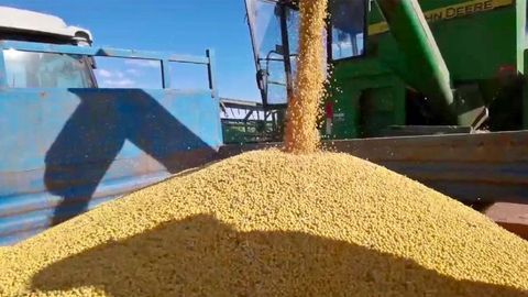 “中國大豆名城”海倫奏響大豆豐收交響曲