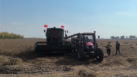 良種良法賦能，大豆畝產(chǎn)超過600斤