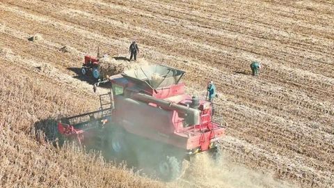 賓縣 玉米大豆單產(chǎn)創(chuàng)新高