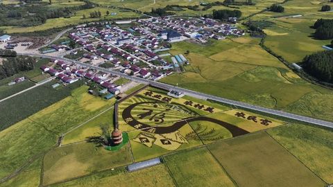 鏡頭里的“十四五”·農(nóng)業(yè)｜糧食總產(chǎn)躍上1600億斤新臺階