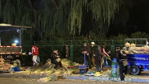 “冬儲”傳統(tǒng)遇冷？哈爾濱秋菜市場觀察：價格親民，囤貨者少，習俗正被重新定義