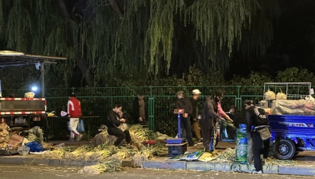 “冬储”传统遇冷？哈尔滨秋菜市场观察：价格亲民，囤货者少，习俗正被重新定义