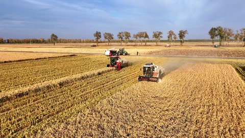 “五良”融合模式助力梧桐河農(nóng)場糧食豐產(chǎn)增收