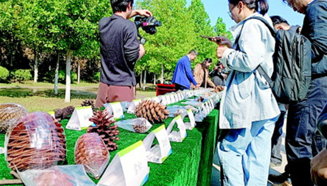 从资源里找优势在创新中破难题
枣庄“小石榴”做成大产业