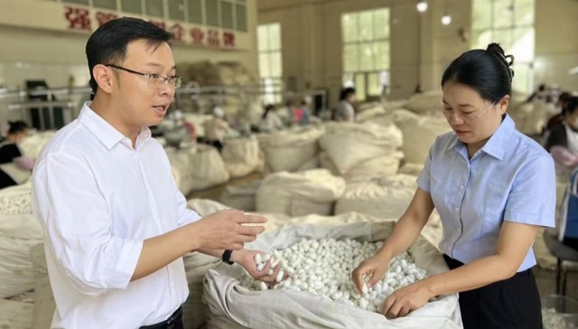 “贷”动茧丝蜕变，融通产业血脉｜邮储银行助推宁南蚕桑高质量发展