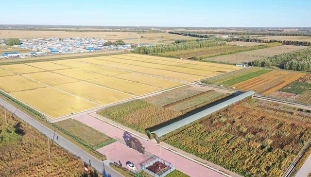 第41位！安达再次跻身全国投资潜力百强县