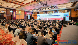 石化國際產(chǎn)能合作謀求“新范式”躍遷