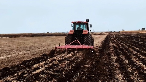 黑龍江省秋收接近尾聲，已收獲22600萬畝以上