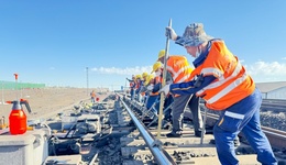 南北“兩棵樹”的根與魂——國家能源集團(tuán)南北“兩棵樹”品牌建設(shè)