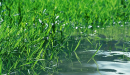 郵儲銀行成都市分行綠色金融助力：為農(nóng)業(yè)轉(zhuǎn)型注入“活水”