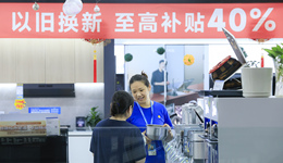 4500亿国补落幕，谁是最大受益者？