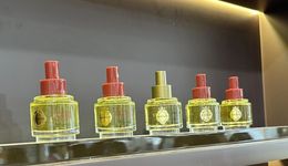 直击2025年进博会：美妆巨头们最务实的一次亮相