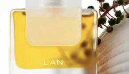 TOPBRAND | 灵宇宙获2亿新融资；BasicNet收购Woolrich欧洲业务；Prada集团仍计划双重上市