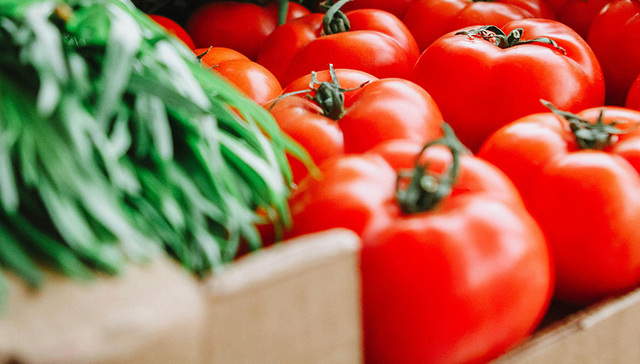 河北净菜进京“六进”活动暨唐山品牌农产品提振消费活动在北京西山国家森林公园启动