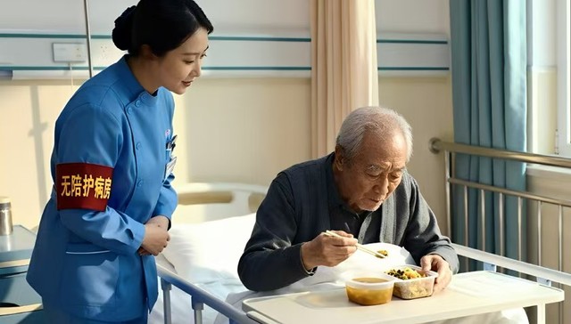 住院,医疗体系,