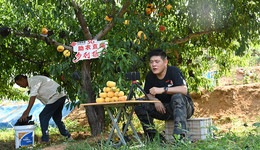 從鄉(xiāng)土到深藍：山東聯(lián)通以數(shù)字技術(shù)書寫高質(zhì)量發(fā)展“五年答卷”