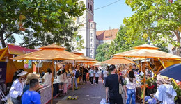 山東城市觀察|青島市南：優(yōu)化創(chuàng)新創(chuàng)業(yè)生態(tài)靜待“夢(mèng)想照進(jìn)現(xiàn)實(shí)”