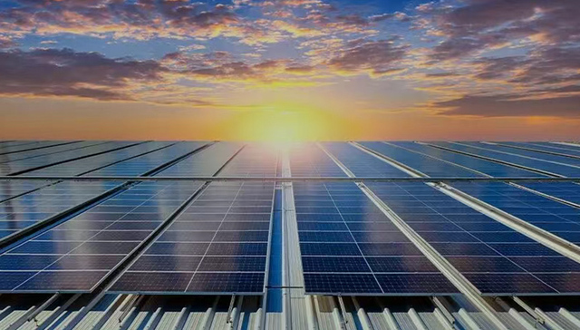 Pine,Gate,Renewables破产