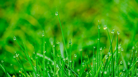 河北省自然資源督察工作協調機制辦公室公開通報4起違規(guī)種植草皮問題