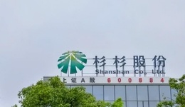 激烈“争夺”300亿杉杉，辽宁首富、国资都来了