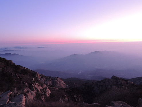 时评 | 进退有章法，山东文旅拒绝“摆烂”行为