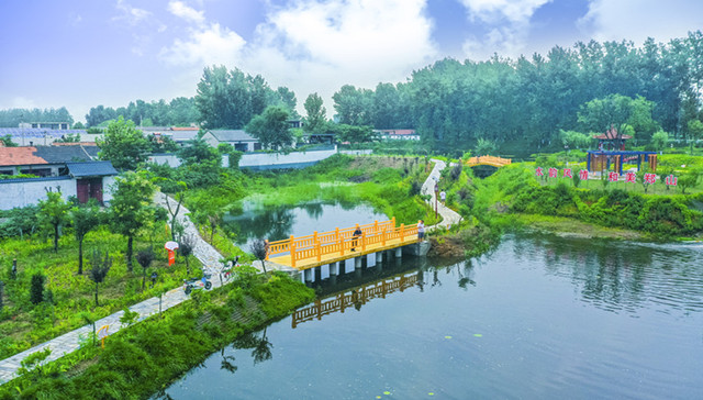 山东城市观察 | 片区化推进乡村振兴，为什么是临沂？