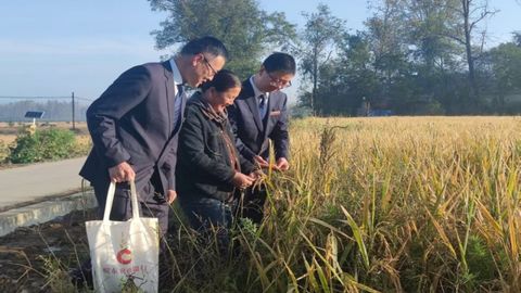 数字金融“皖”美答卷：从政策引领到银行实践的深度跃迁