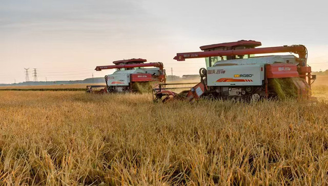 山东城市观察 | 片区推进乡村振兴，河东区交出共同富裕“高分答卷”