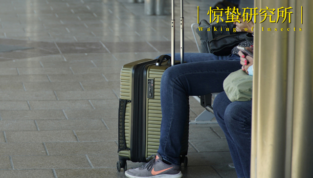 返乡三年的90后们，后悔了吗？