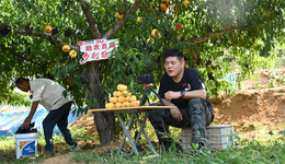 在蒙山沂水间用数字“解码”乡村痛难点——临沂联通派驻第一书记刘涛用技术浇灌乡村振兴之花